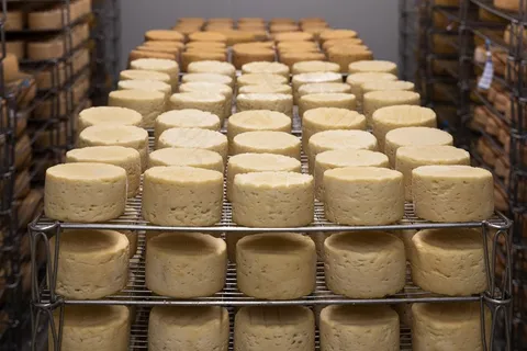 奶酪甜点自制图片图片