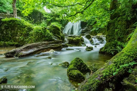 原始森林瀑布河流绿色环境树林图片 原始森林瀑布河流绿色环境树林图片