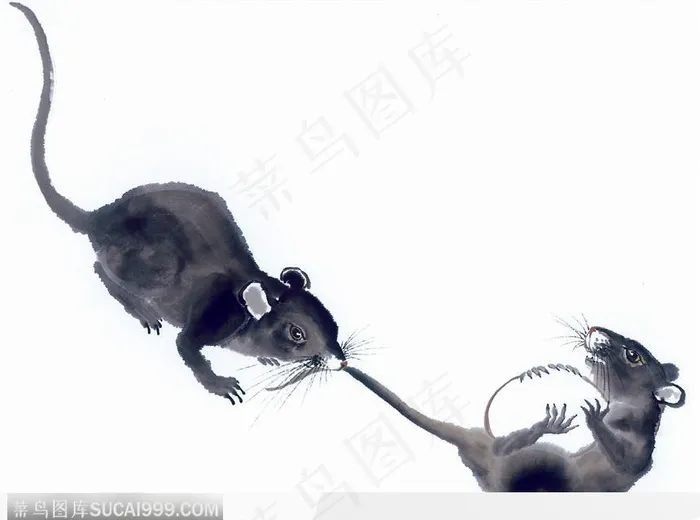 水墨画老鼠图