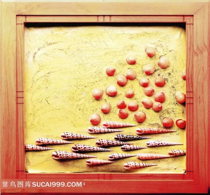 贝壳粘贴画图片大全