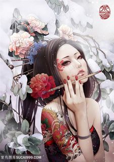 中国风美女插画