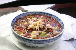 水上鳔-汇源涿州新店