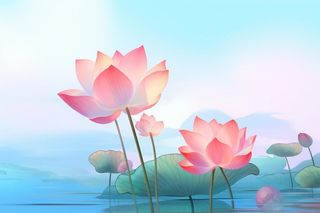 简约清新淡粉色荷花背景