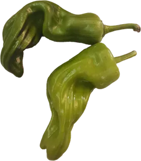 海椒农家有机田园清新色调青椒螺丝椒线椒菜椒辣椒免抠元素实物摄影素材