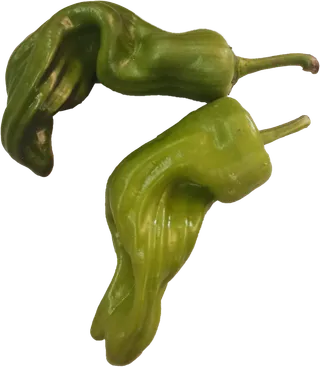 海椒农家有机田园清新色调青椒螺丝椒线椒菜椒辣椒免抠元素实物摄影素材