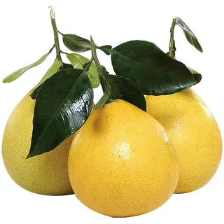 柚子-3水果超市商品白底图免抠实物摄影png格式图片透明底