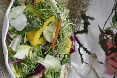 手撕大拌菜 手撕大拌菜