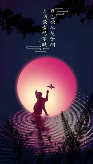 夜色阑珊 玉壶光转海报设计