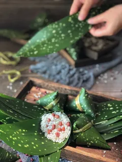 端午粽子素材