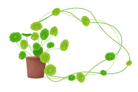 春天绿色叶子边框装饰