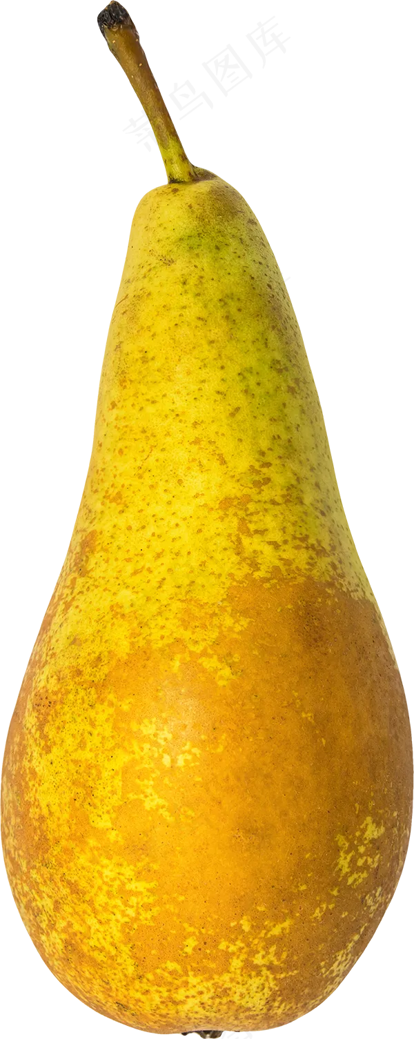 10_Pear Long