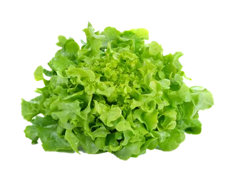 生菜 (52)超市商品白底图免抠实物摄影png格式图片透明底