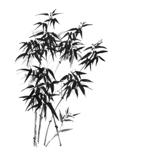 竹子水墨画中国风国画墨水书法竹子画