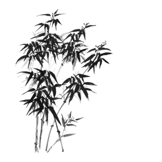 竹子水墨画中国风国画墨水书法竹子画