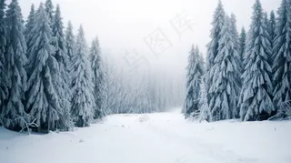 冬季雪景白雪雾凇覆盖摄影图 