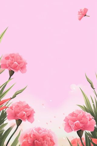 简约粉色康乃馨插画背景