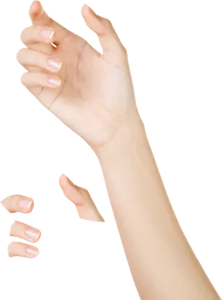 手势免抠png 右手握住手指细节