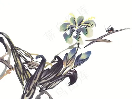 昆虫花草国画图片美图素材