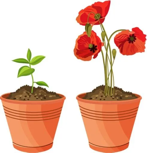 土壤 PNG免抠(768x800)