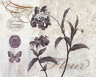 简约植物花卉素描插画 简约植物花卉素描插画