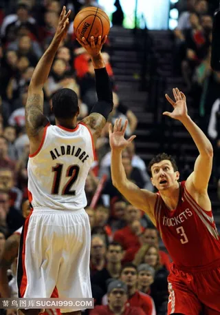 阿西克扑防阿尔德里奇