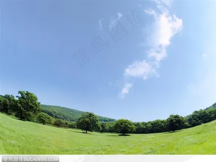 草原树木与蓝天白云