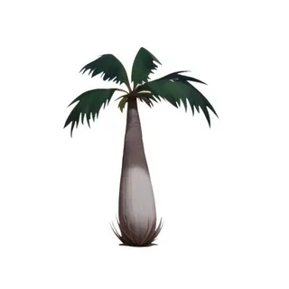 椰子树棕榈树免抠