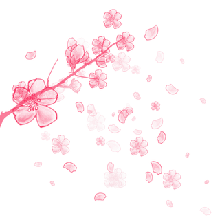 春天浪漫粉红色樱花手绘樱花梅花桃花花朵图片PNG免扣素材