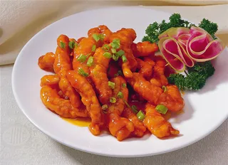 RCSC-00058糖醋里脊