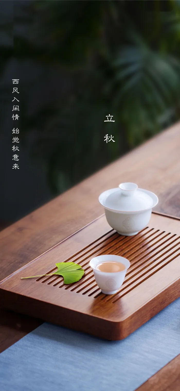 立秋海报psd模版下载