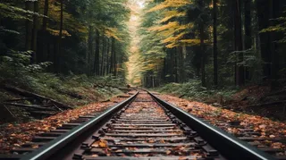 森林里的火车铁路轨道摄影图