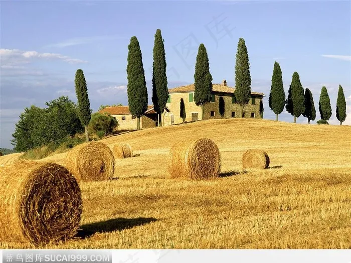 等待收获的牧草