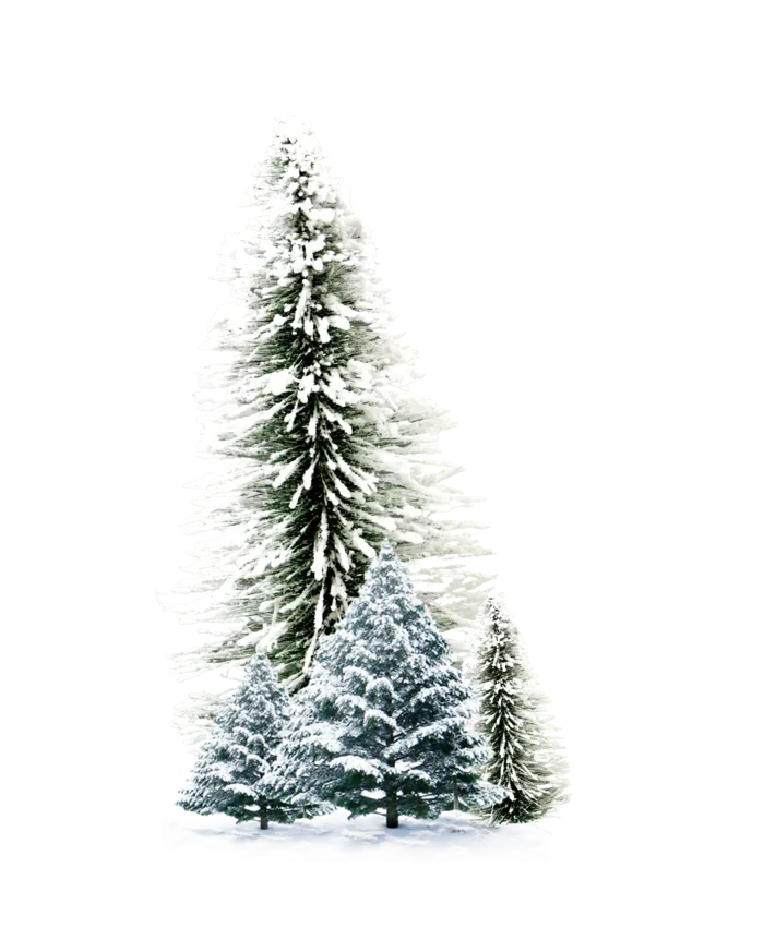 圣诞节平安夜圣诞树免扣素材圣诞元素