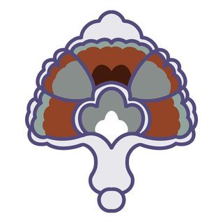 复古中国风国潮敦煌花纹花草插画手绘装饰小元素PSD素材