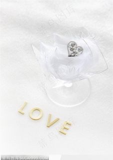 放在玻璃杯里羽毛上的钻石水晶挂饰