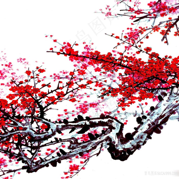 水墨梅花高清画