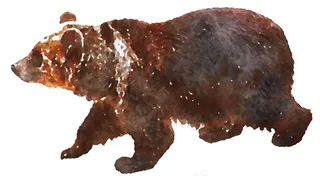 大黑熊水彩画图片