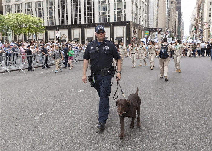 警察与警犬图