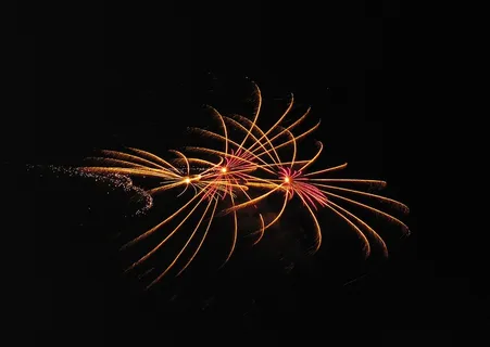 烟花开放  烟花开放