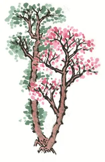 古树国画欣赏摄影图片 古树国画欣赏摄影图片