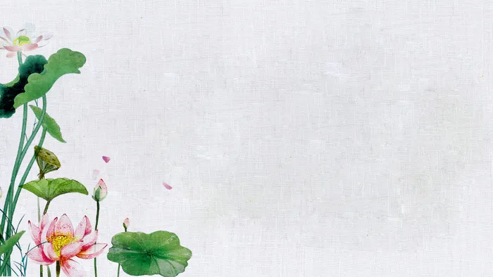 荷花背景图框框