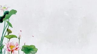 荷花背景图框框