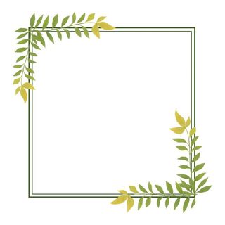 绿色叶子绿色边框免抠