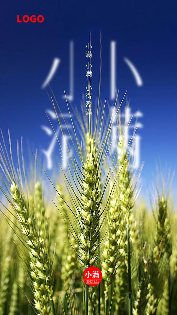 小满节气高清宣传图psd模版下载