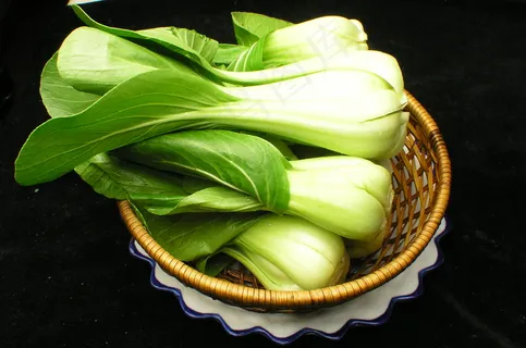 油菜     油菜