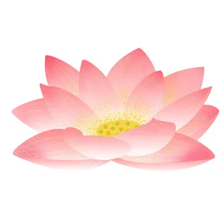 国潮中国风手绘荷花莲花荷叶莲藕植物花卉装饰插画PSD设计素材