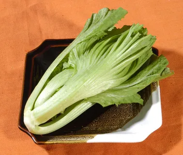 盖菜      盖菜