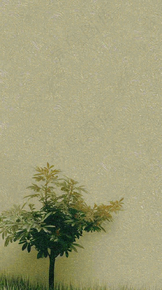 简约绿色叶子影子纹理