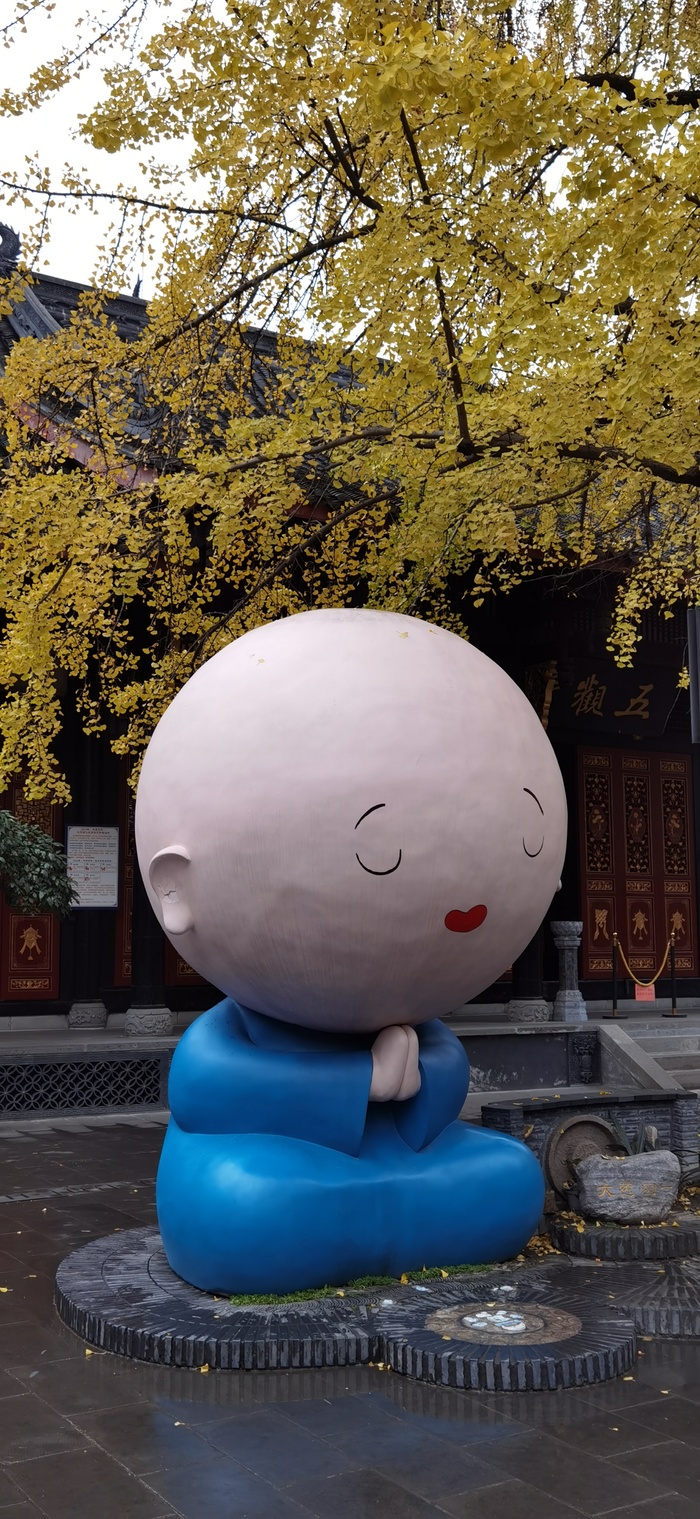 大慈寺小和尚与银杏