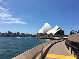 悉尼歌剧院局部图片